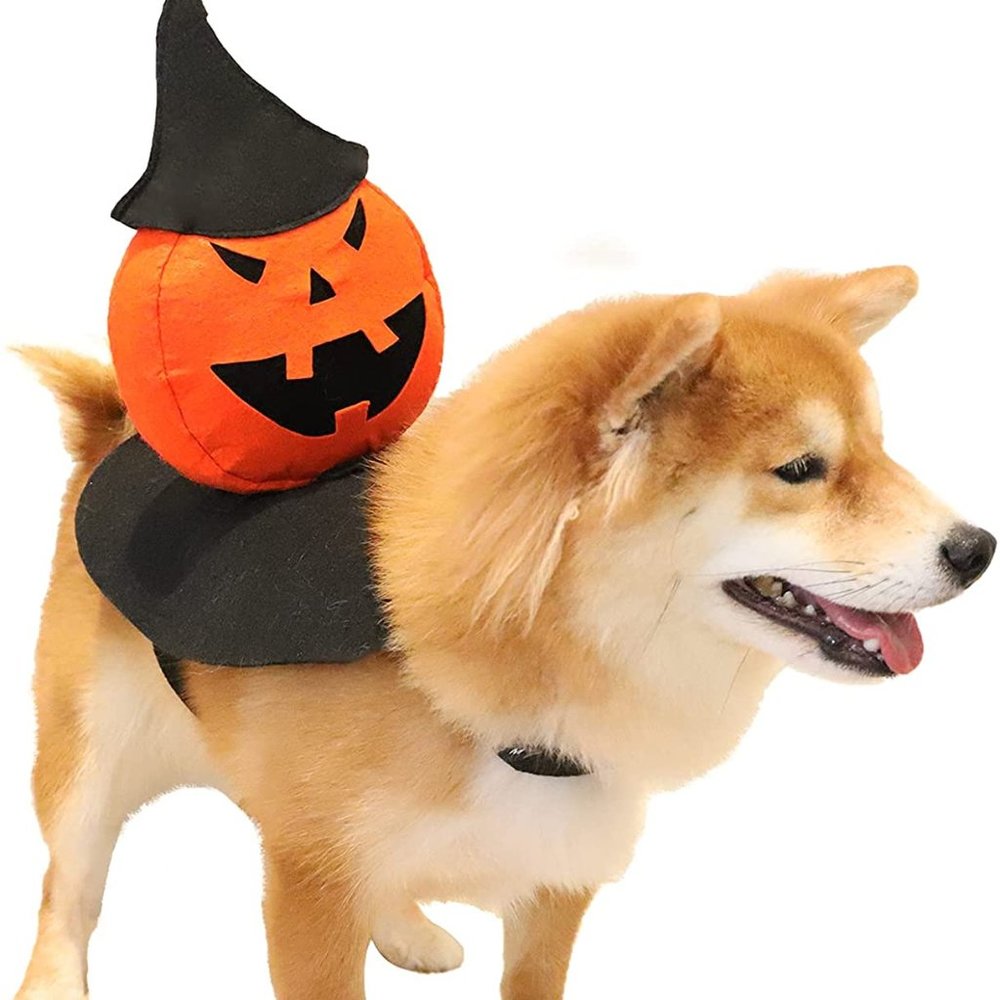 New Halloween Dog Costume - Size L